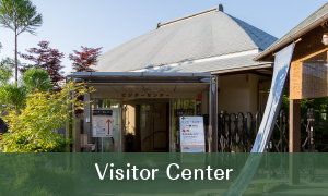 Visitor Center